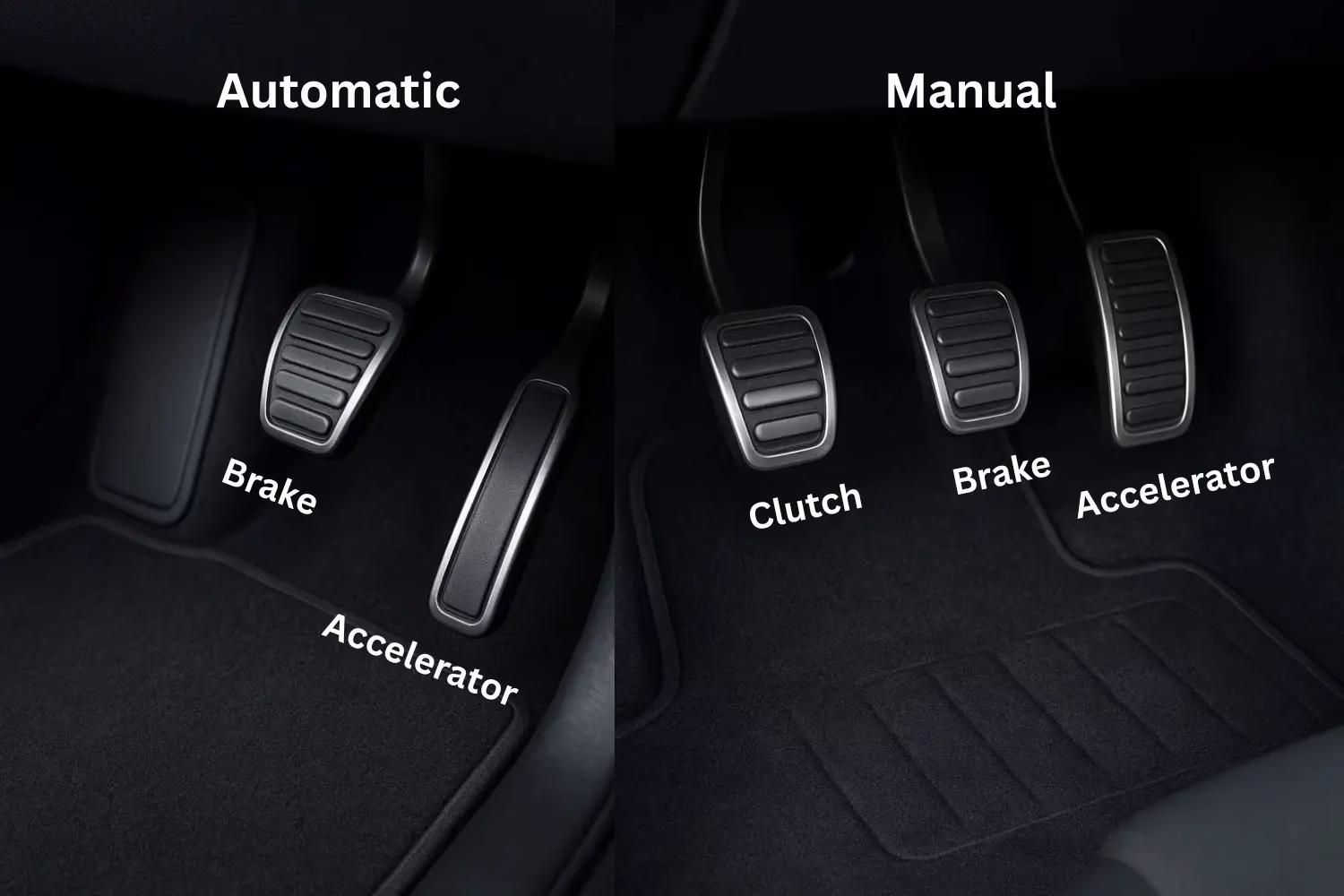 car paddles beginner driving lessons